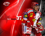 hlavacka-wallpaper_nahled.jpg